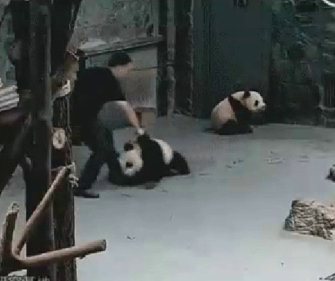 基地指當時發生事比影片更多。