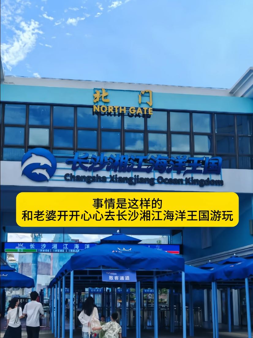 包先生參加水族館的潛水活動時被鯊魚咬至毀容。抖音