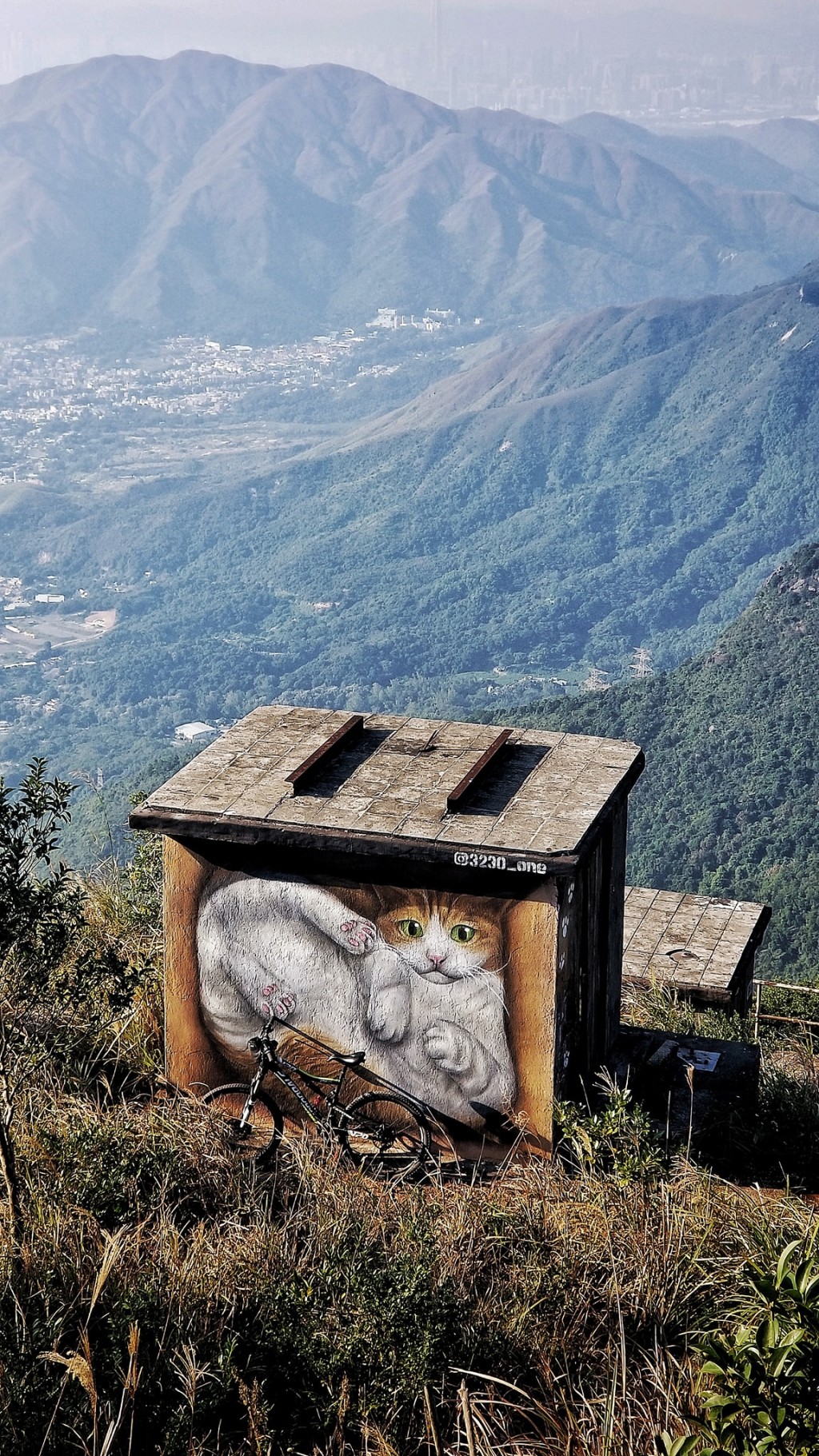  据悉，「猫屋」由一名俄罗斯艺术家绘画。「山海一线」facebook