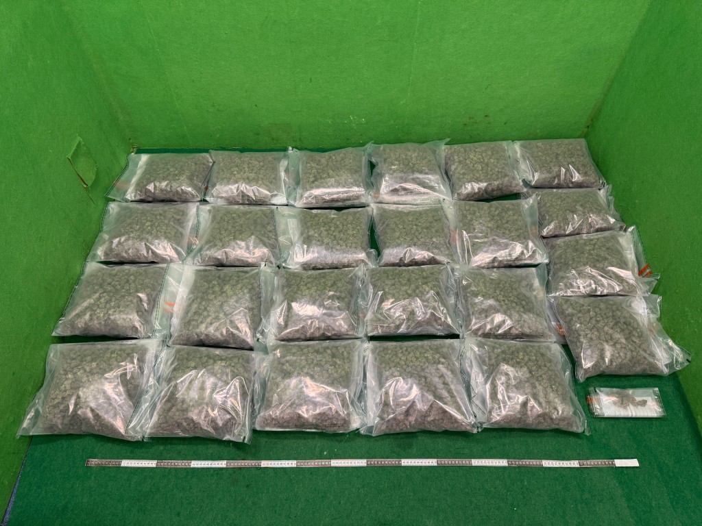 第一宗案件中檢獲的懷疑大麻花。海關圖片