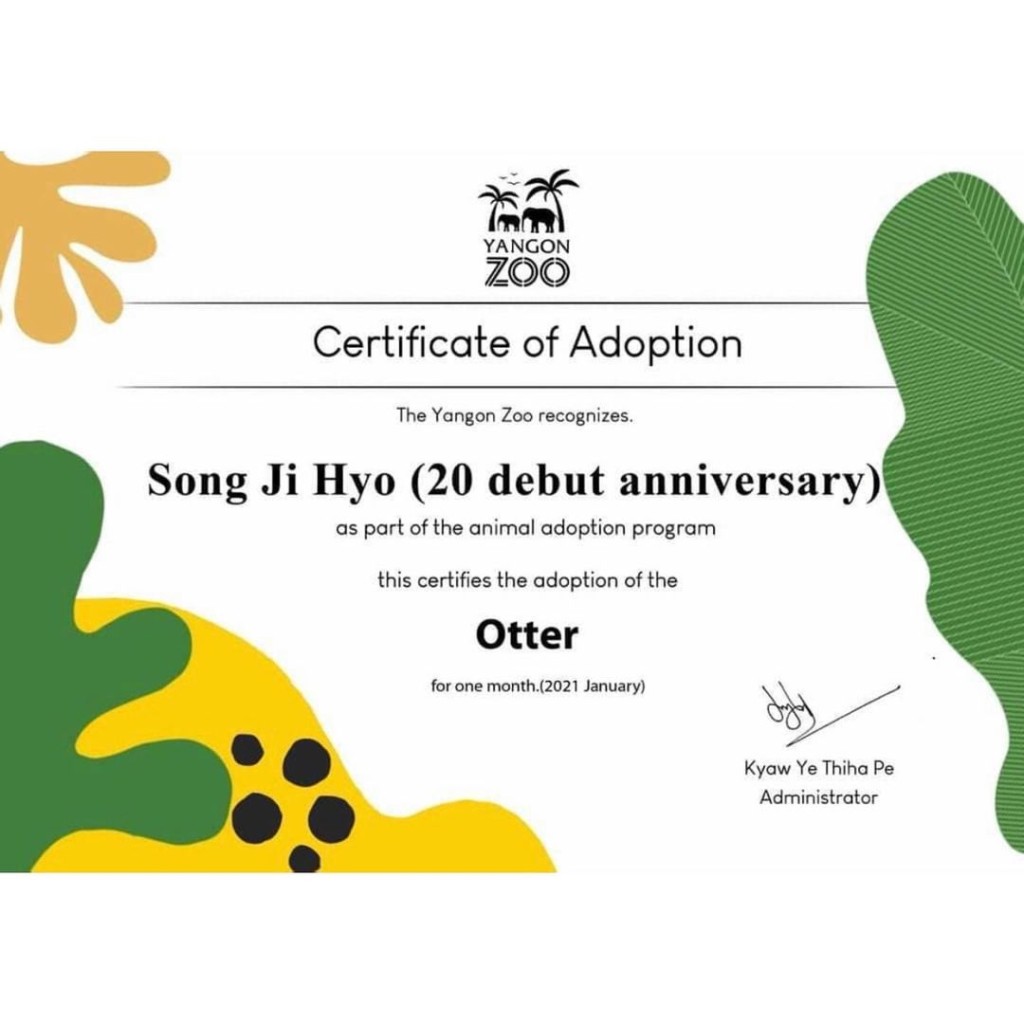 緬甸粉絲以智孝名義助養仰光動物園的老虎Otter。