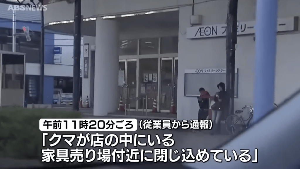 商場職員緊急以貨架、隔板築起臨時封鎖線,成功把熊困在特定區域,讓顧客得以及時撤離。ABSNEWS畫面截圖 商場職員緊急以貨架、隔板築起臨時封鎖線,成功把熊困在特定區域,讓顧客得以及時撤離。ABSNEWS畫面截圖