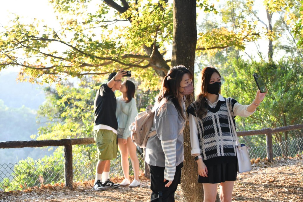 有逾百名遊人前來大棠自然教育徑賞楓拍照。