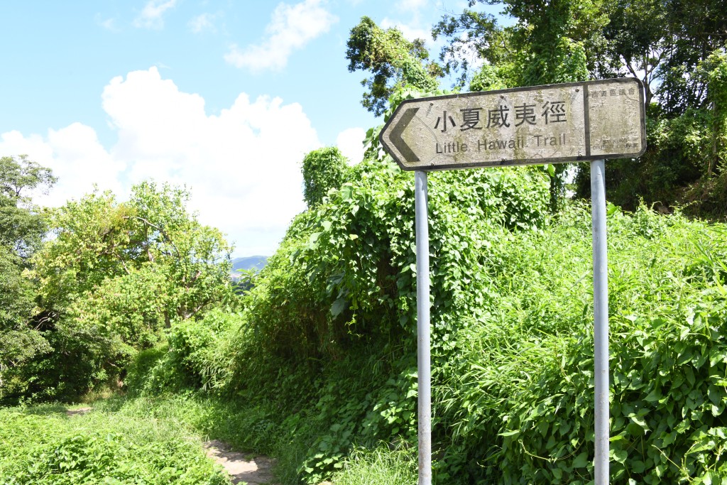 兩旁都有茂密樹林（圖片來源：星島）