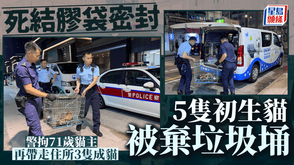 5初生貓B藏膠袋內 身上繫臍帶被棄深水埗垃圾桶 警火速拉七旬貓主