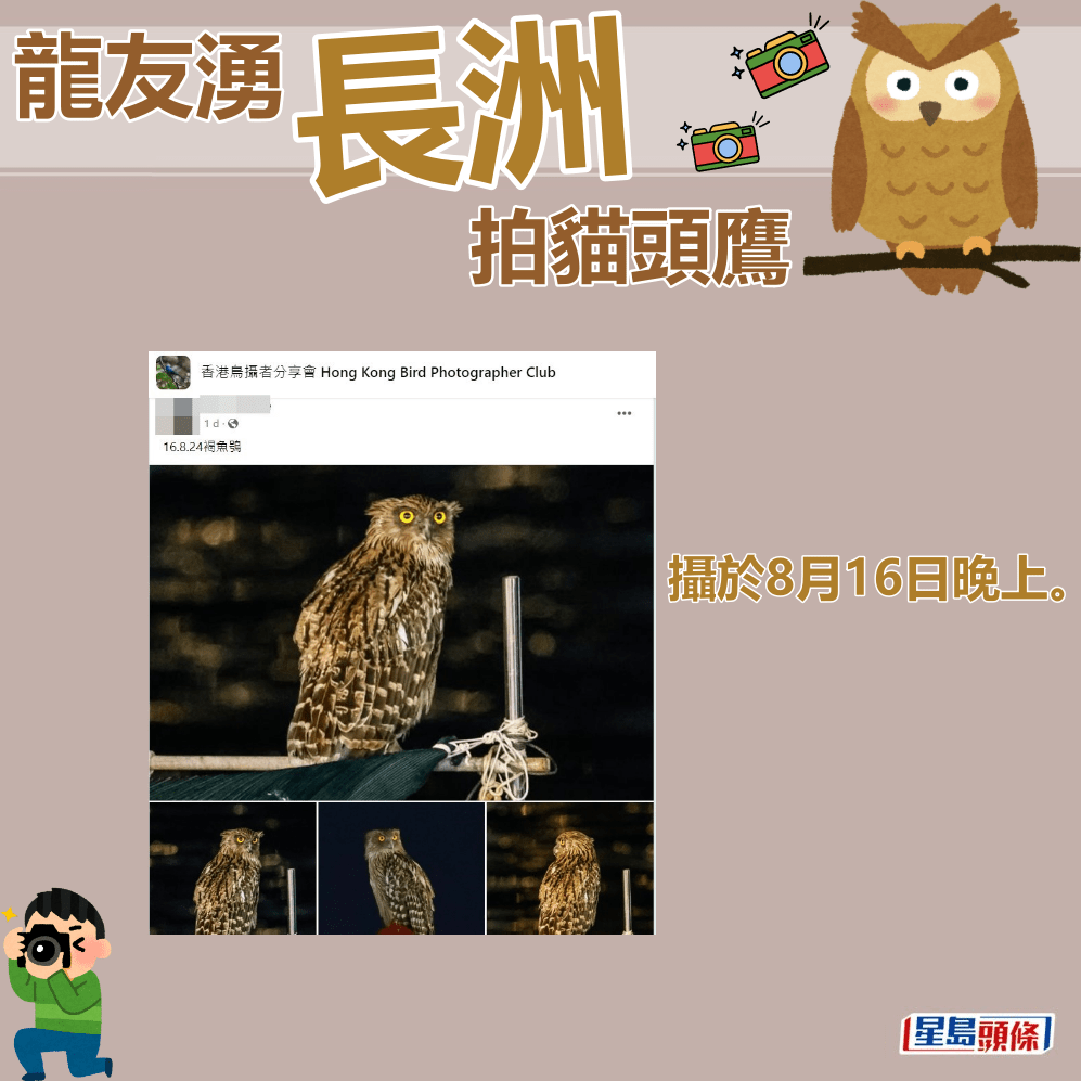 攝於8月16日晚上。fb「香港鳥攝者分享會」截圖