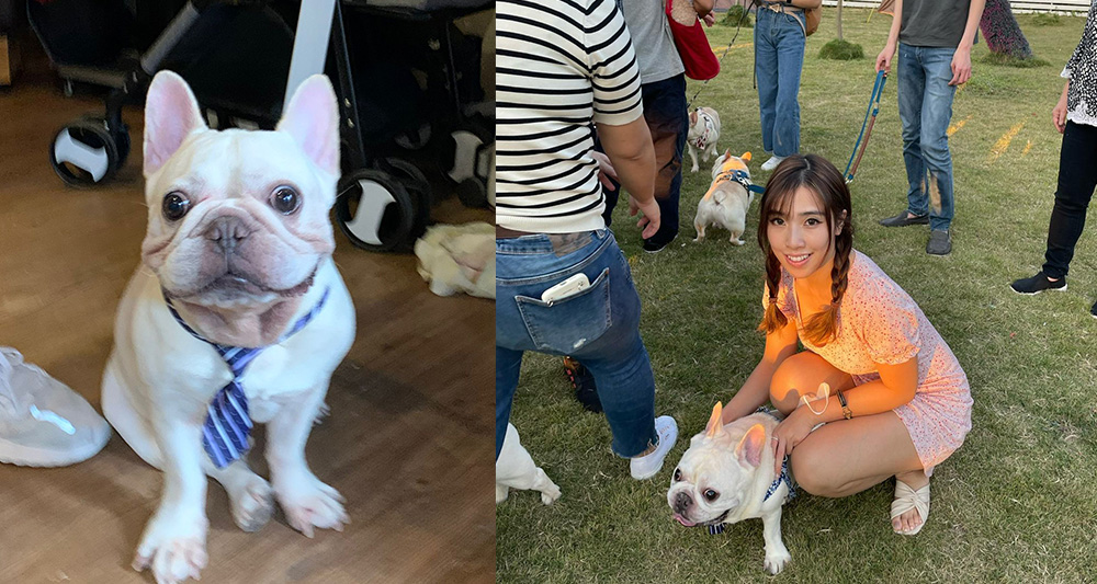 狗主陳小姐視Butter如親人。(陳小姐提供)