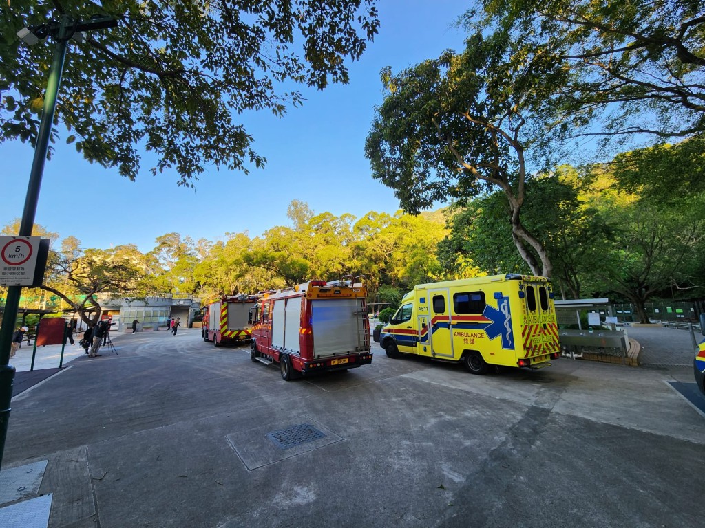 有晨運客在獅子山公園聽到一男一女的叫救命聲，恐有事發生，當局派出多輛消防車和救護車到場。 黎志偉攝