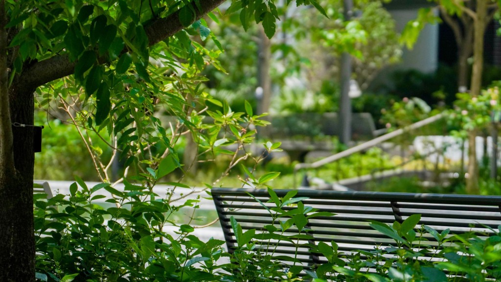 太古坊中庭休憩園林為城市人提供了難得的身心靈淨化地。