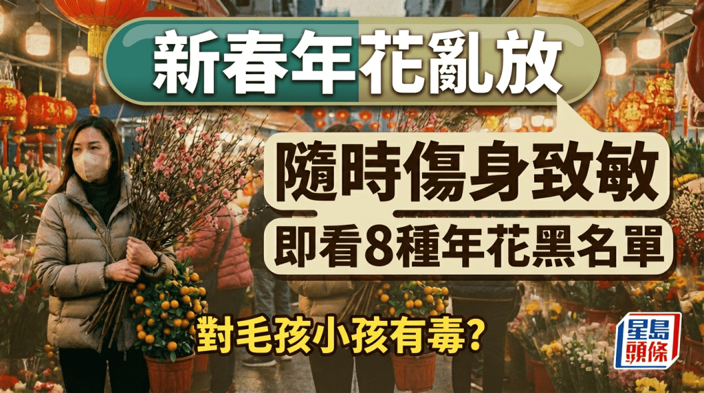 新春年花亂放  隨時傷身致敏  即看8種年花黑名單  對毛孩小孩有毒?