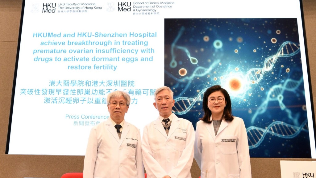 港大研究：腎病藥物「非奈利酮」證實有效改善卵泡發育 助早發性卵巢功能不全患者懷孕