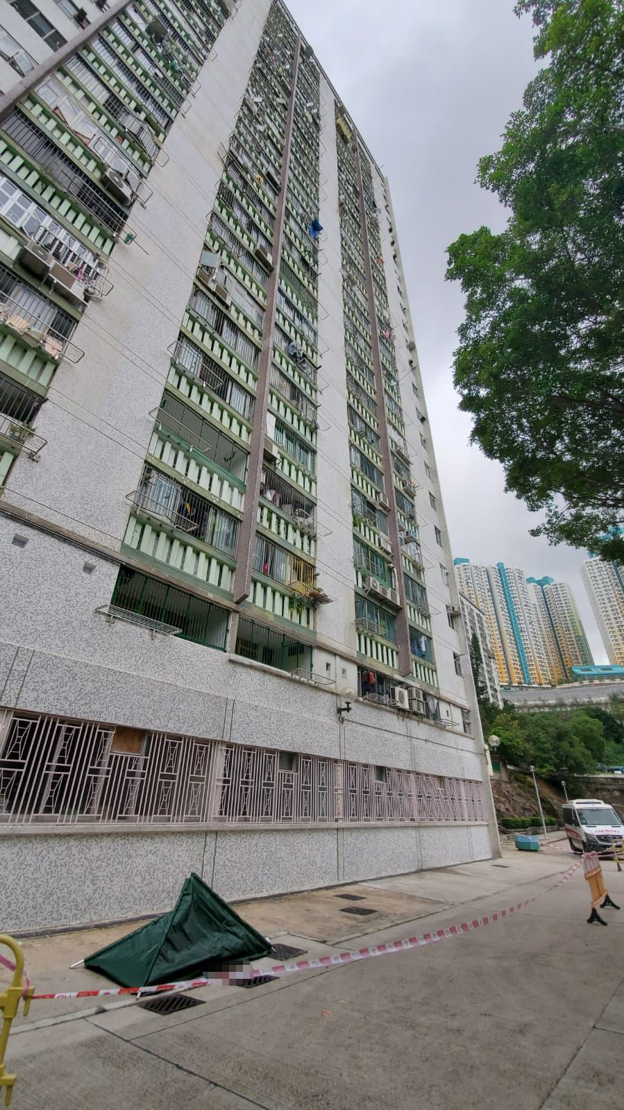 警方相信女子從寓所一躍而下。