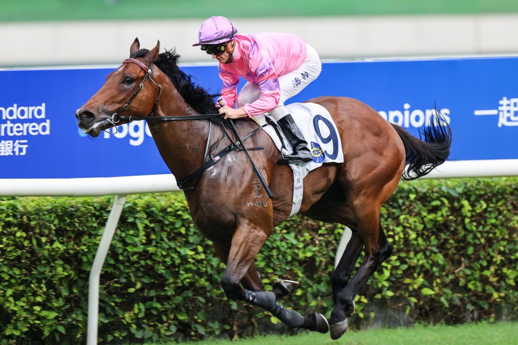 「龍之輝」取得兩連勝，是呂健威馬房今戰牌面馬之一。