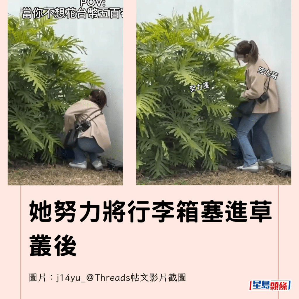  她努力將行李箱塞進草叢後