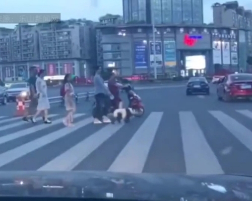 內地近日瘋傳一段短片，顯示四川有人當街「遛熊貓」，掀起熱議。(網圖)