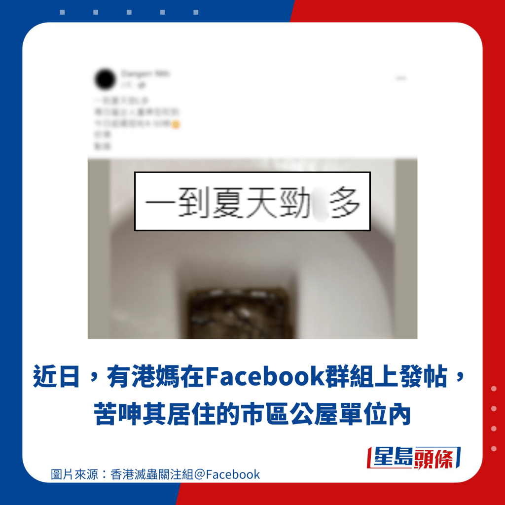 近日，有港媽在Facebook群組上發帖，苦呻其居住的巿區公屋單位內