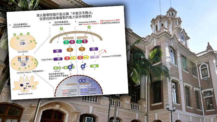 研究已於《自然》雜誌發表。