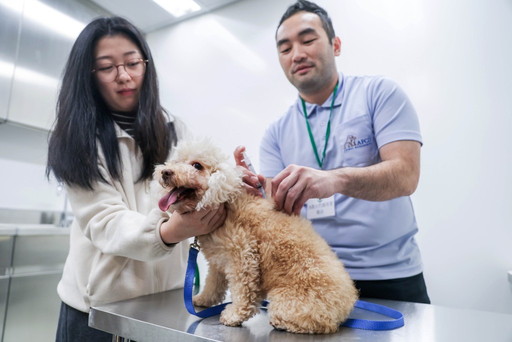 新綜合大樓地下大堂為貓狗提供植入晶片、打狂犬病疫苗等服務。