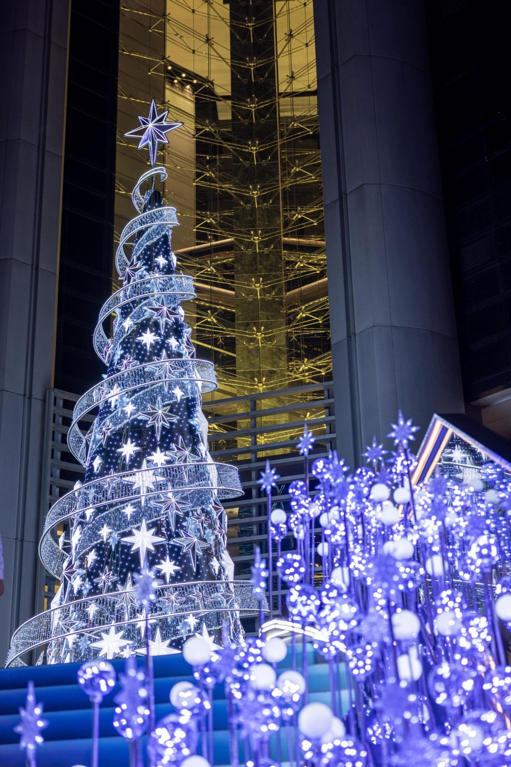 璀璨闪烁的圣诞树足足有10米高。