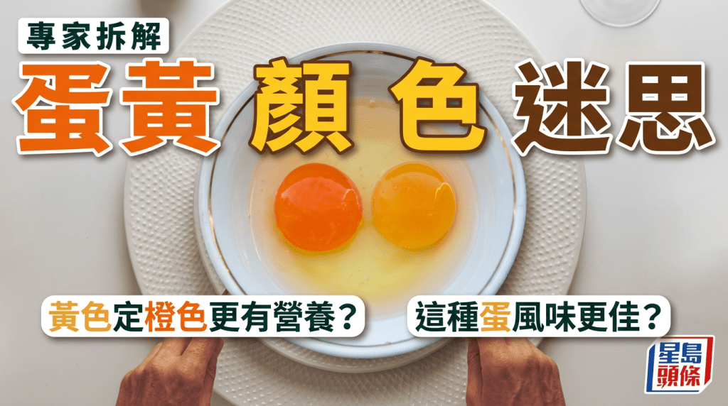 黃色定橙色更有營養？專家拆解蛋黃顏色迷思 這種蛋風味更佳？