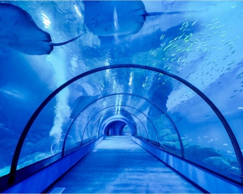 福建主題樂園鯊魚館一名女遊客遇溺身亡。網圖