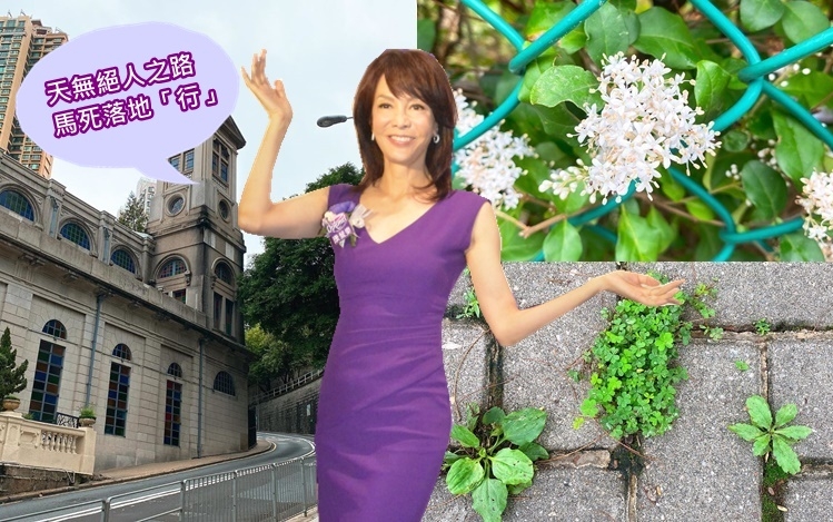 健身室冇開，Do姐仍勤力行路當做運動。
