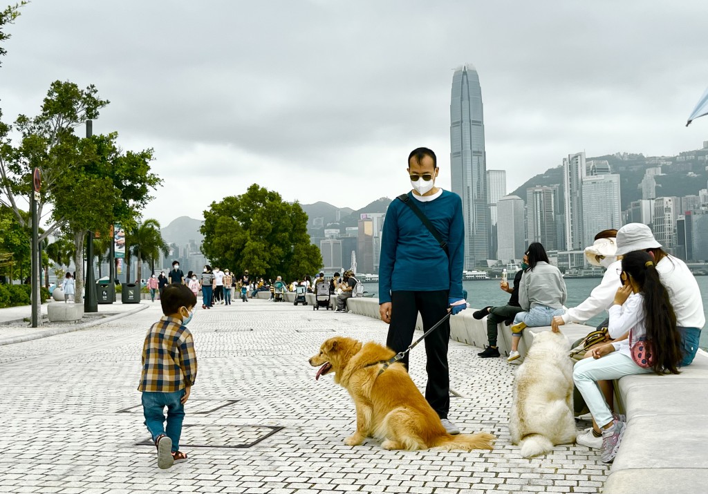 陳曼琪提議允許狗隻進入設有戶外用餐區的食肆,促進人寵共融。資料圖片 陳曼琪提議允許狗隻進入設有戶外用餐區的食肆,促進人寵共融。資料圖片