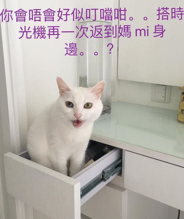 见到文字，真系好唔舍得.....