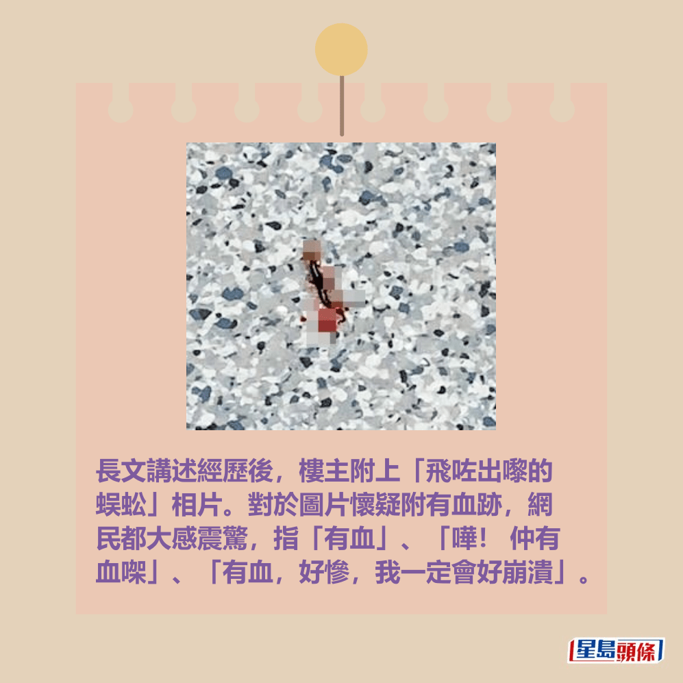 長文講述經歷後,樓主附上「飛咗出嚟的 蜈蚣」相片。對於圖片懷疑附有血跡,網 民都大感震驚,指「有血」、「嘩! 仲有 血㗎」、「有血,好慘,我一定會好崩潰」。Threads截圖 長文講述經歷後,樓主附上「飛咗出嚟的 蜈蚣」相片。對於圖片懷疑附有血跡,網 民都大感震驚,指「有血」、「嘩! 仲有 血㗎」、「有血,好慘,我一定會好崩潰」。Threads截圖