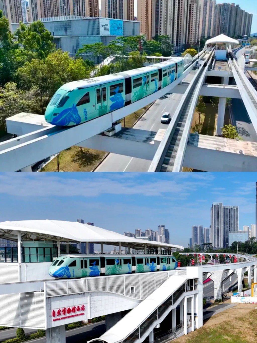 《驚蟄無聲》90%取景地位於深圳。小紅書@椰子水拯救世界