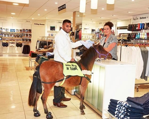 记者帕特尔申请到一只导盲马。网图
