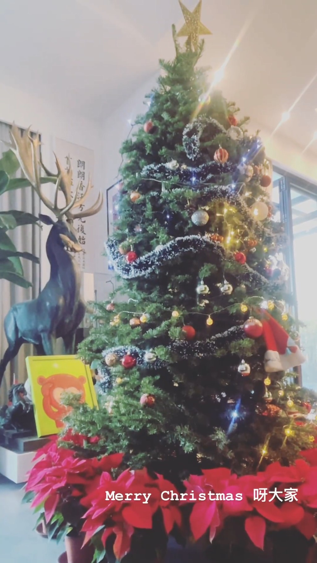 客厅可摆到目测接近3米高的圣诞树，旁边仲有鹿雕塑。