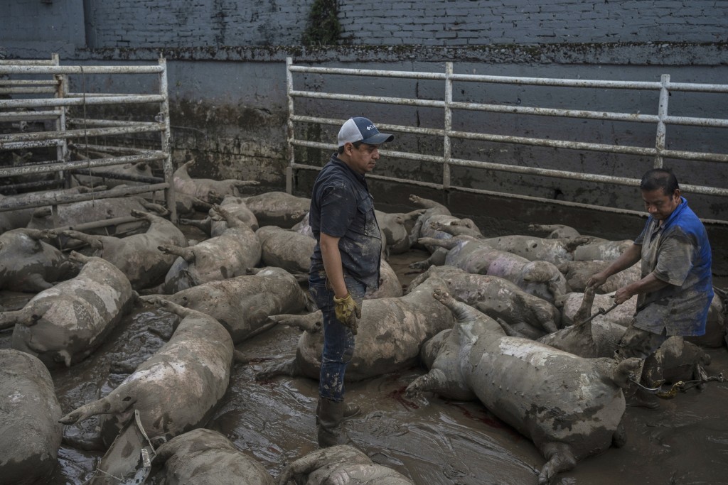 墨西哥遭遇全國性暴雨侵襲。美聯社