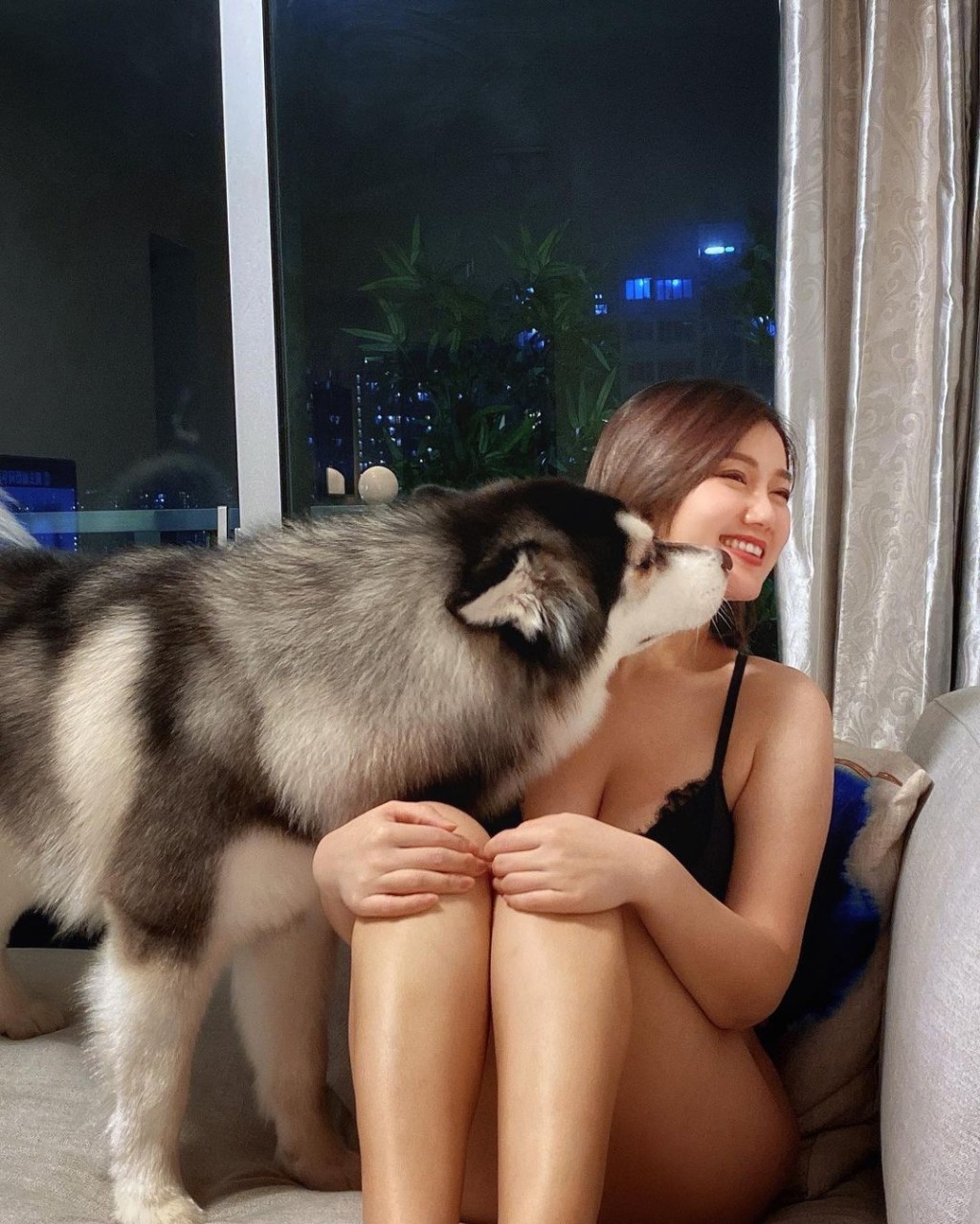 又系狗同又系喺屋企。