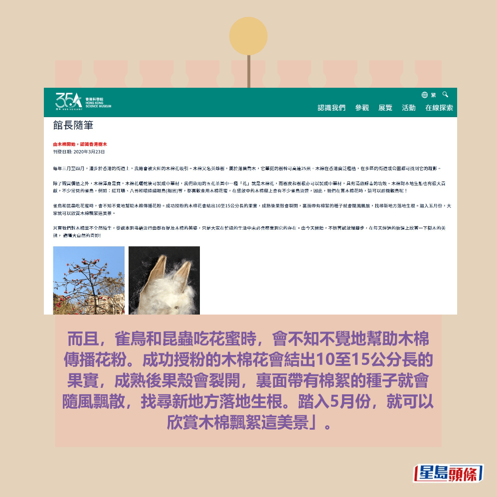 香港科學館網頁截圖