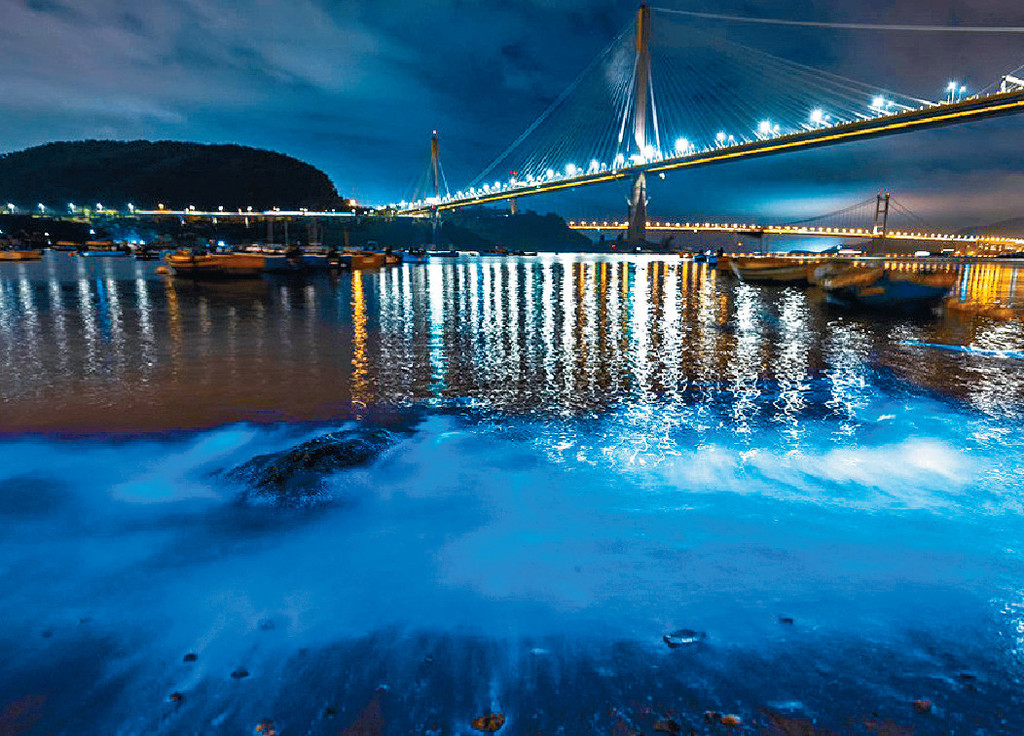 ■「藍眼淚」美輪美奐。網絡圖片
