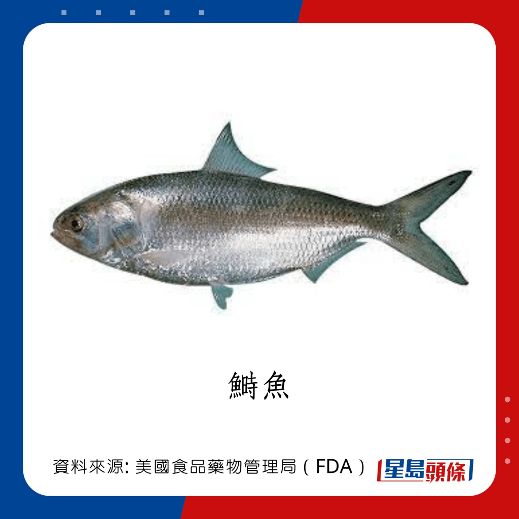 低水銀魚類 鰣魚