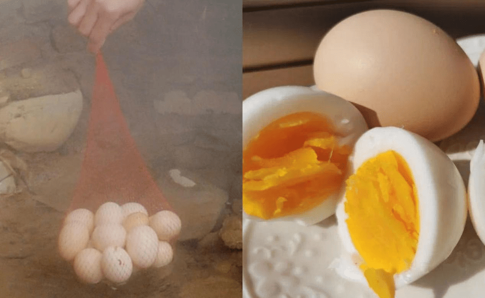 烚雞蛋。 網圖
