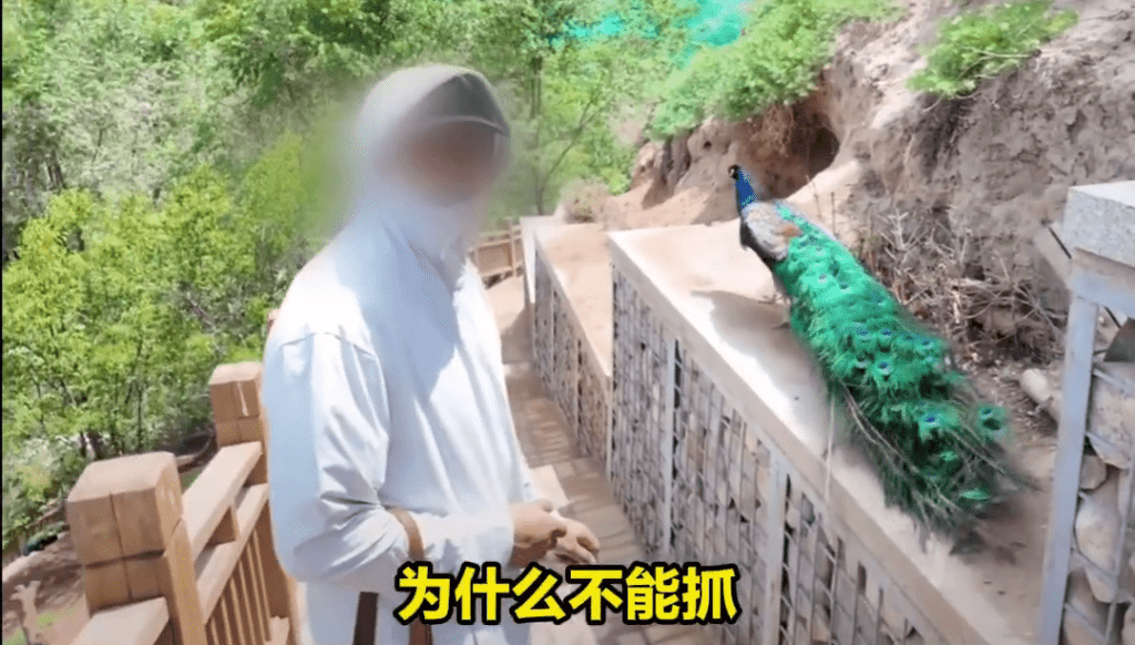 囂張男:「為什麼不能抓?」 囂張男:「為什麼不能抓?」