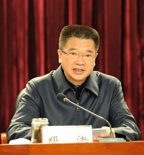 重庆市人大常委会原副主任、党组原副书记郑洪被查。