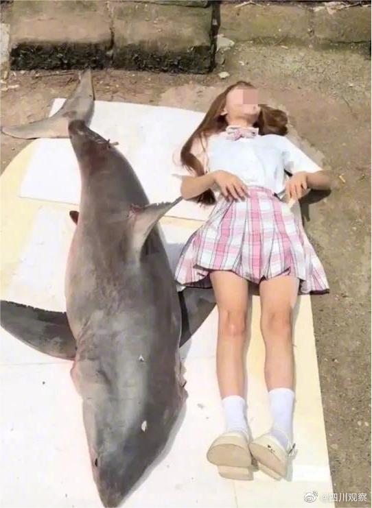 四川网红博主“提子”2022年7月拍摄水煮鲨鱼和烧烤鲨鱼的影片引发关注。网图