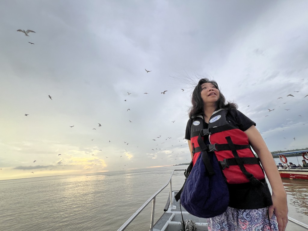 遊客可以乘船出海，在船上觀察數老鷹及其他種類的海鳥空群而出覓食。