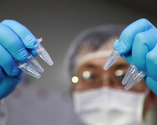 科研人員展示新型冠狀病毒疫苗研發實驗。