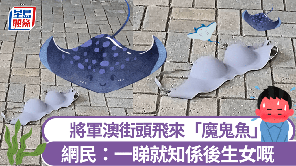 將軍澳街頭飛來「魔鬼魚」 網民臉紅紅：一睇就知係後生女嘅