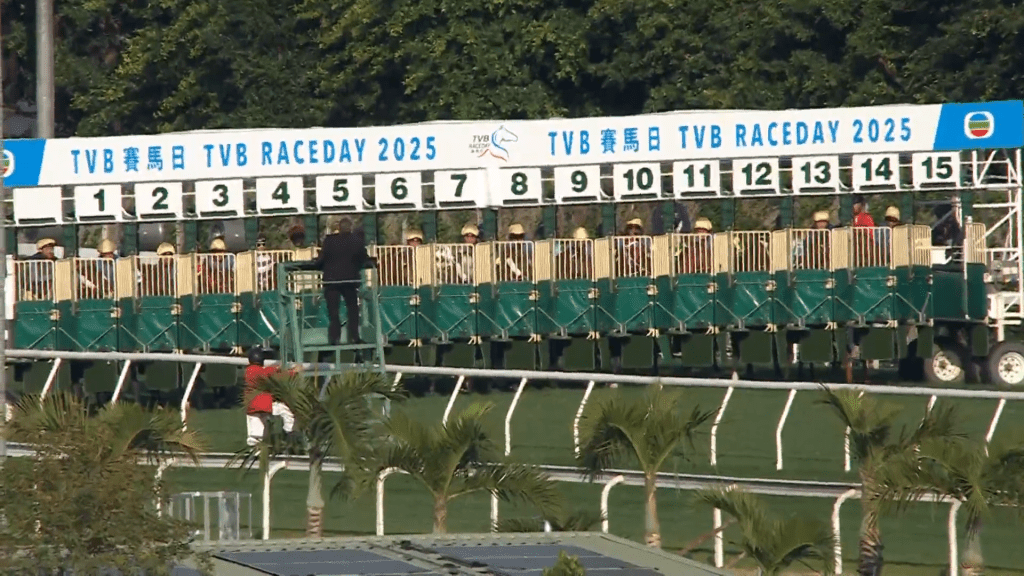 事發於今（9日）午4時許，沙田馬場第9場賽事。賽馬會網頁