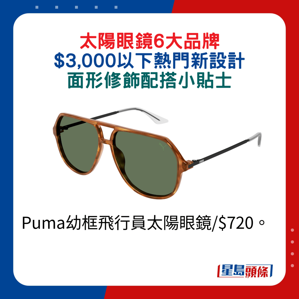Puma幼框飞行员太阳眼镜/$720。