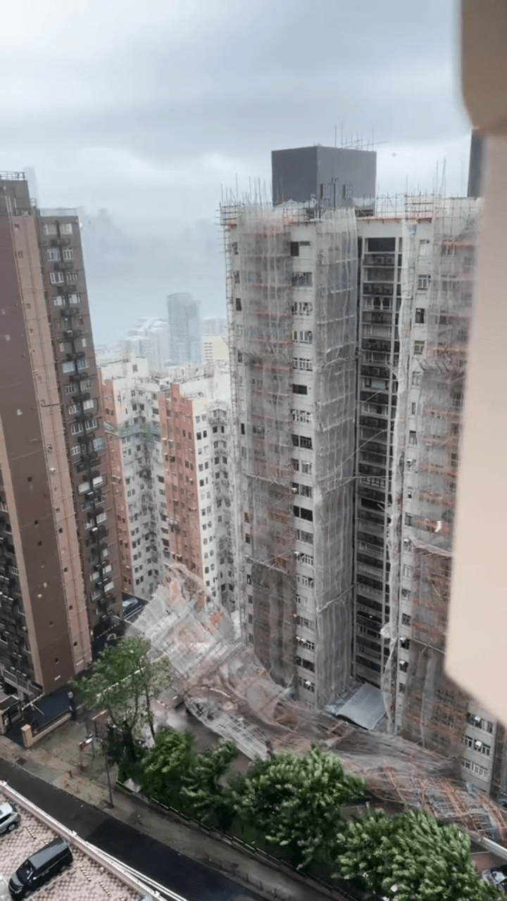 棚架壓向路邊汽車 棚架壓向路邊汽車