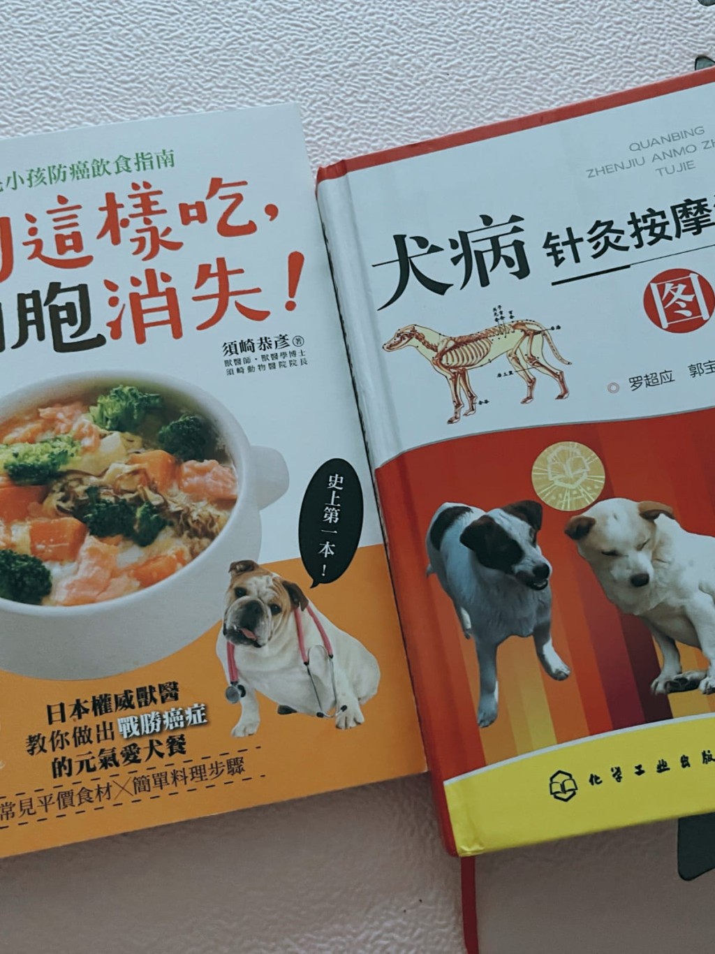 馬賽自言從研究人類中醫到研究中獸醫了。