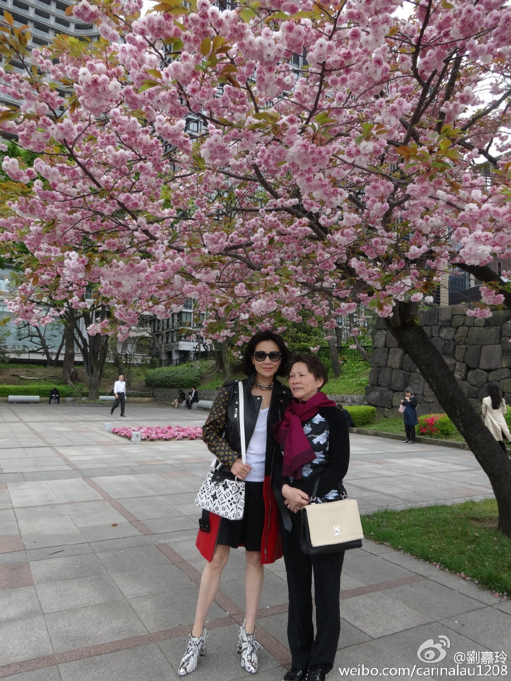 刘嘉玲过往都曾经带过妈咪去日本赏樱。