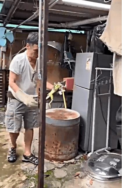 蜥蝪約半米長。